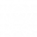 calidad trabajamos con los mejores materiales